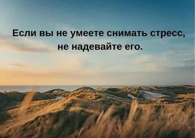 Смешные картинки с надписью про жизнь | Цитата про путешествия, Цитаты,  Правдивые цитаты