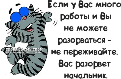 Лучшие цитаты Эзопа из книг, басен о жизни со смыслом Мудрые высказывания,  мысли и афоризмы | Глоток Мотивации | Дзен