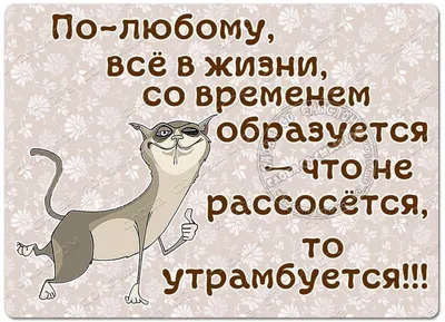 Отпуск: цитаты, прикольные статусы, красивые слова и афоризмы