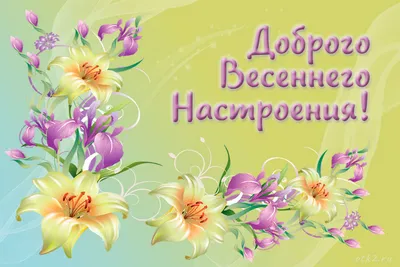 Весеннего настроения | Весенние цветы, Цветы, Весна