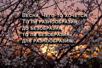 весна #слякоть #лужи #новаяобувь #анимация #мем #прикол #юмор #грязь |  TikTok