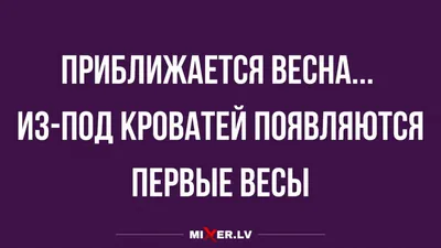 Весна: истории из жизни, советы, новости, юмор и картинки — Все посты |  Пикабу