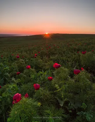 Весна картинки на аву