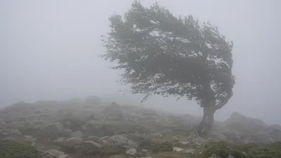 Злой осенний ветер бьёт людей под дых И с собой уносит слабых и худых!  Сильных, толстых тоже ветер.. | ВКонтакте