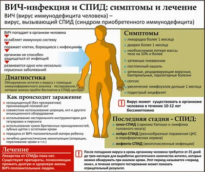 Российские ученые создали прототип препарата для полного излечения ВИЧ -  Газета.Ru | Новости