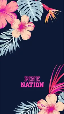 VICTORIA'S SECRET PINK WALLPAPER | Fondo de pantalla de pink nation, Papel  tapiz de color rosa vs, Fondo victoria secret