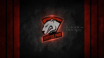 Virtus.pro показала форму с пандой для The International 2019 - Dota 2 -  Cyber.Sports.ru