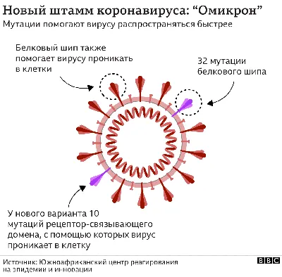 Вирус папилломы человека может спровоцировать рак – профилактика и защита  от инфекции