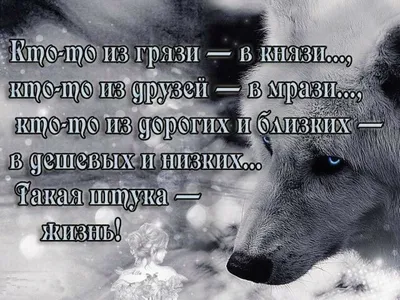 Статусы со смыслом added a new photo. - Статусы со смыслом