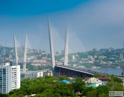 Фотообои \"Золотой мост в городе Владивосток\" - Арт. 080361 | Купить в  интернет-магазине Уютная стена