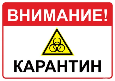 Задания на внимание для детей распечатать - Аналогий нет | Для детей,  Занятия для детского сада, Учебные плакаты