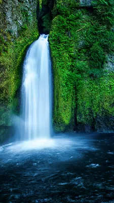 Картинка США Wahclella Falls Oregon Утес Природа Водопады 1080x1920