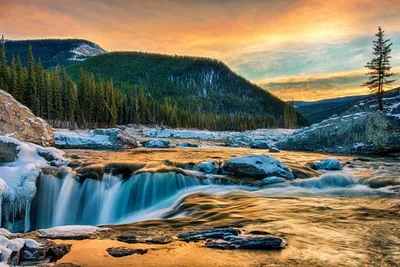 Сакура и водопад - красивые фото