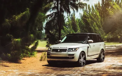 Внедорожник range rover в тропическом лесу - обои на телефон