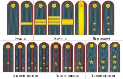 Погоны и звания полиции