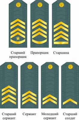 ЗНАКИ РАЗЛИЧИЯ ВОЕННОСЛУЖАЩИХ • Большая российская энциклопедия -  электронная версия