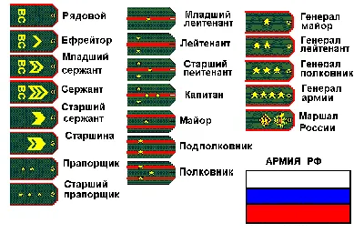 Воинские чины в армии Российской Империи - ЯПлакалъ