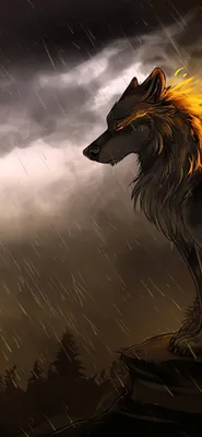 Wolf in Mountain Wallpaper for iPhone 12 Pro