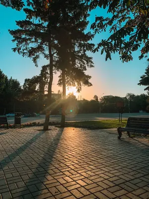 Бесплатное изображение: Восход солнца, небо, подсветкой, песок, вода, пляж,  солнце, Рассвет, море, океан, побережье