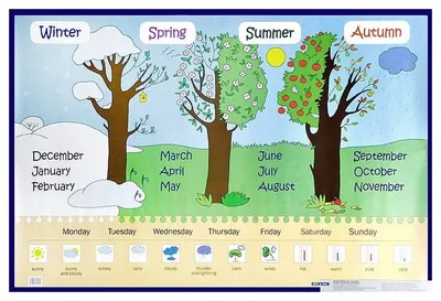 Времена года картинки - 74 фото