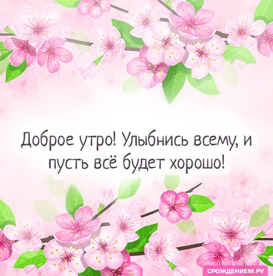 📎09▫🌻 Доброе утро! И пусть всё будет ХОРОШО у нас, у всех! | Доброе утро,  Смешные открытки, Мотивационные подарки