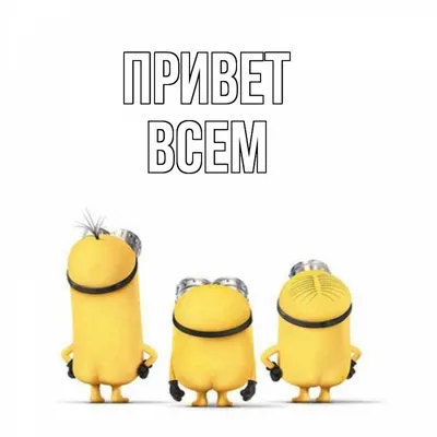 Всем привет, с вами Джонни Кэтсвилл. И сегодня мы будем готовить уху  по-домашнему! / уха :: котэ картинки :: золотая рыбка :: Джонни Кэтсвил /  смешные картинки и другие приколы: комиксы, гиф