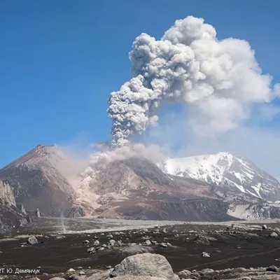 Извержение вулкана Шивелуч на Камчатке: не первое, но очень мощное. Фото -  BBC News Русская служба