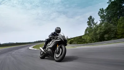 Клетка на мотоцикл Yamaha YZF-R6 06-16гг серии PRO Crazy Iron - MORE-MOTO.RU