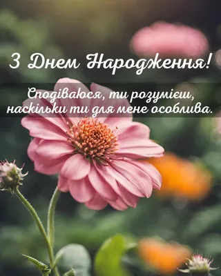 Нові Картинки З Днем Народження та Вітальні Листівки