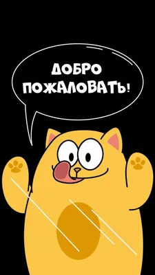 Смешные обои на телефон для подростков мемы с надписью - фото и картинки  abrakadabra.fun