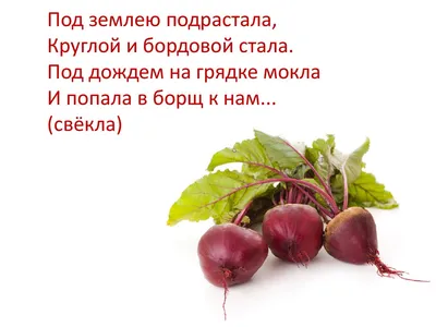 100 загадок про овощи для детей и взрослых с ответами