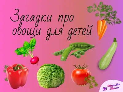 МИМИкнижки. Погремушки - купить в Москве по лучшей цене | Издательство  «Робинс»