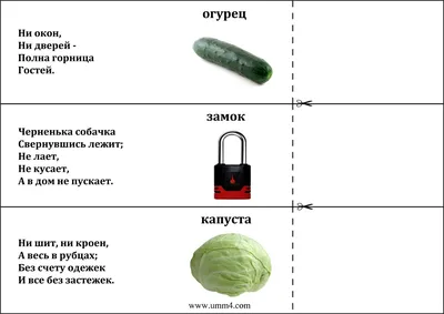 Детские загадки про фрукты и овощи с ответами и картинками - Лора