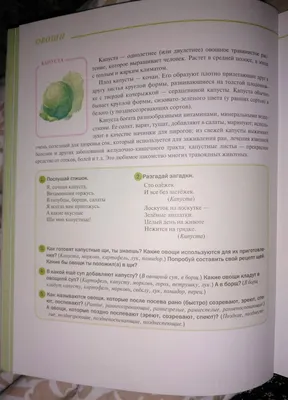 Лэпбук «Овощи» (9 фото). Воспитателям детских садов, школьным учителям и  педагогам - Маам.ру