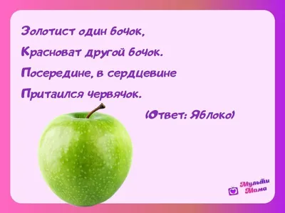 Загадки про овощи — интересные загадки про овощи для детей с ответами