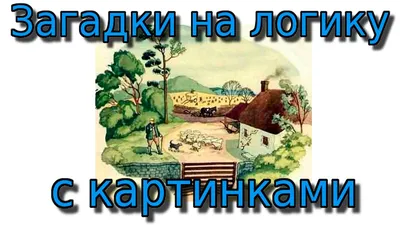 Книга Загадки В картинках - купить в Москве, цены на Мегамаркет