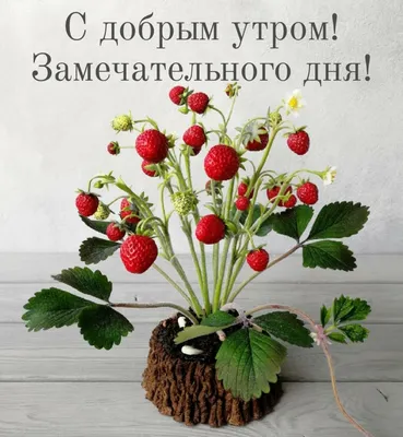 Улыбнись и отличного дня!