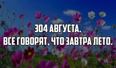 Любимые новости: сегодня лето, завтра лето, через месяц - тоже лето✨ |  Instagram