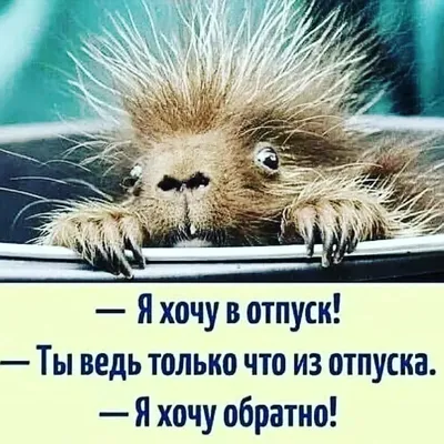 Как это завтра на работу????