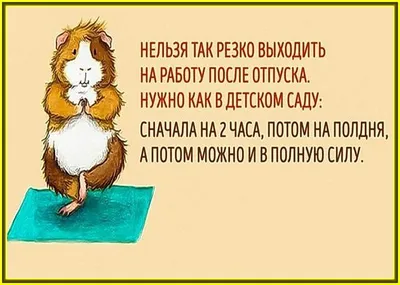 Донской депутат пояснила, кого нельзя вызвать на работу из отпуска