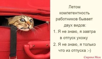 Конец отпуска картинки - 68 фото