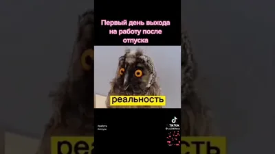 завтра после отпуска на работу｜Búsqueda de TikTok