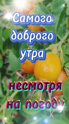 Картинка это тебе на здоровье (корзинка фруктов)