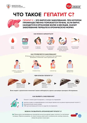 ꕤ 10 принципов здорового питания. Преимущества здорового образа жизни