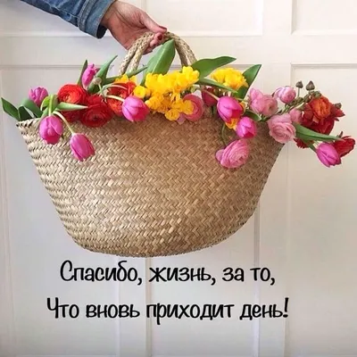 Выставка «Здравствуй, новый день!» — Афиша Ташкента