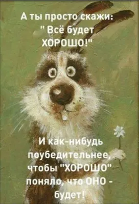 Здравствуй, новый день!