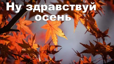 Открытая планета/Гирлянда. Здравствуй, осень!/84.566/ купить оптом в  Екатеринбурге от 162 руб. Люмна