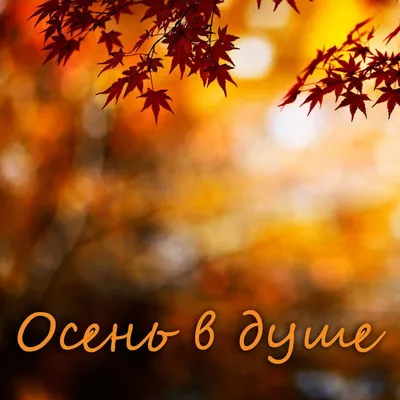 Nikolay Jincharadze. Well, hello autumn ... - YouTube