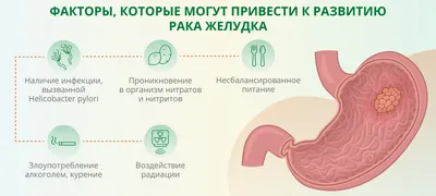 Пищеварительная система человека