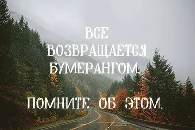 Для внуков все ещё Мира on Instagram: \"‼️ЖИЗНЬ -БУМЕРАНГ💯 К тому ведется:  🔻Что отдаете,то и вернёте. 🔻Что посеешь-то пожнешь, 🔻Ложью пробьётся  Ваше же ложь 🔻Каждый поступок имеет значенье; 🔻Только прощая,получишь  прощенье. 🔻Вы